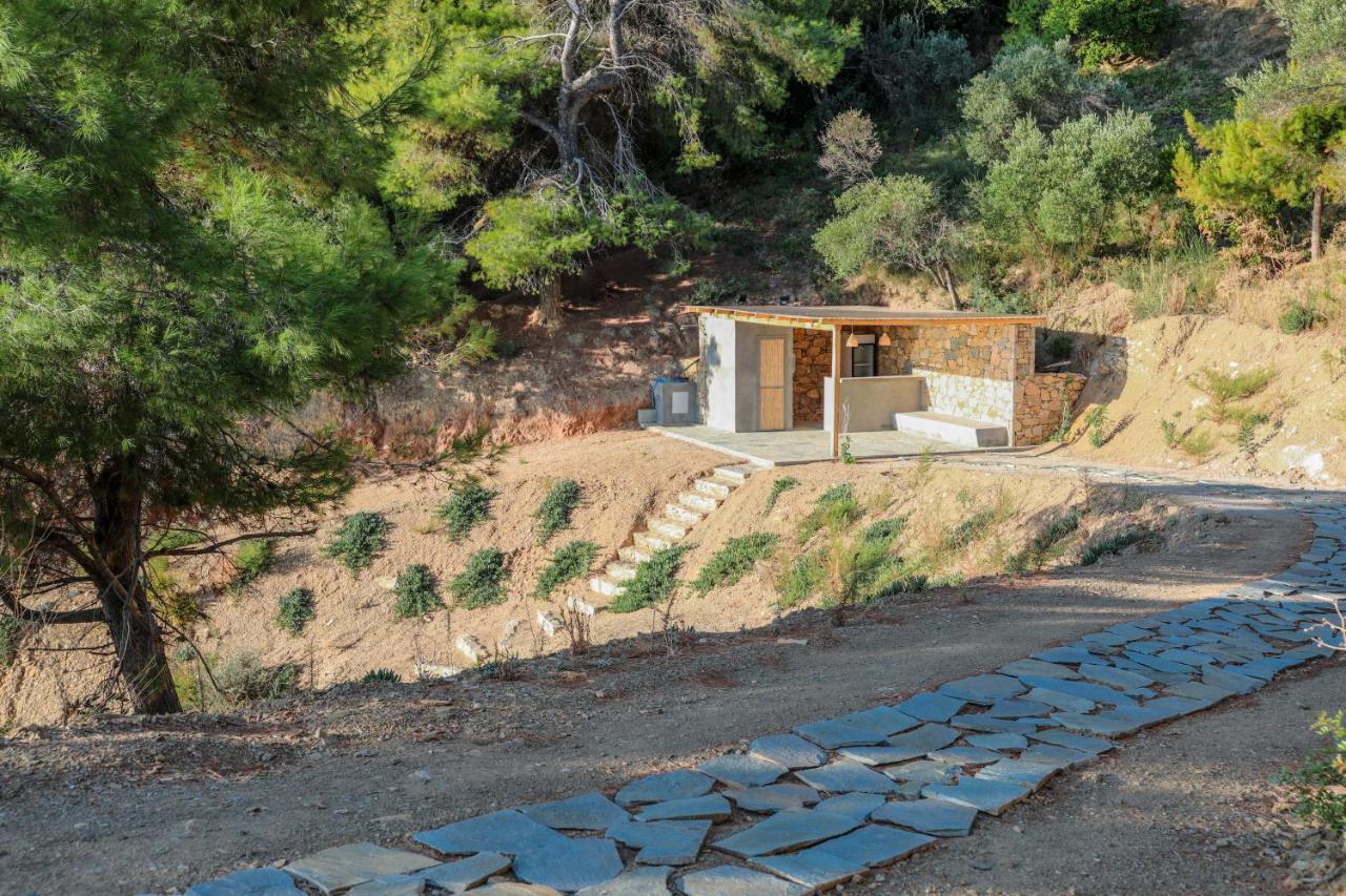 Thalasses Villas Skiathos Punta Екстериор снимка