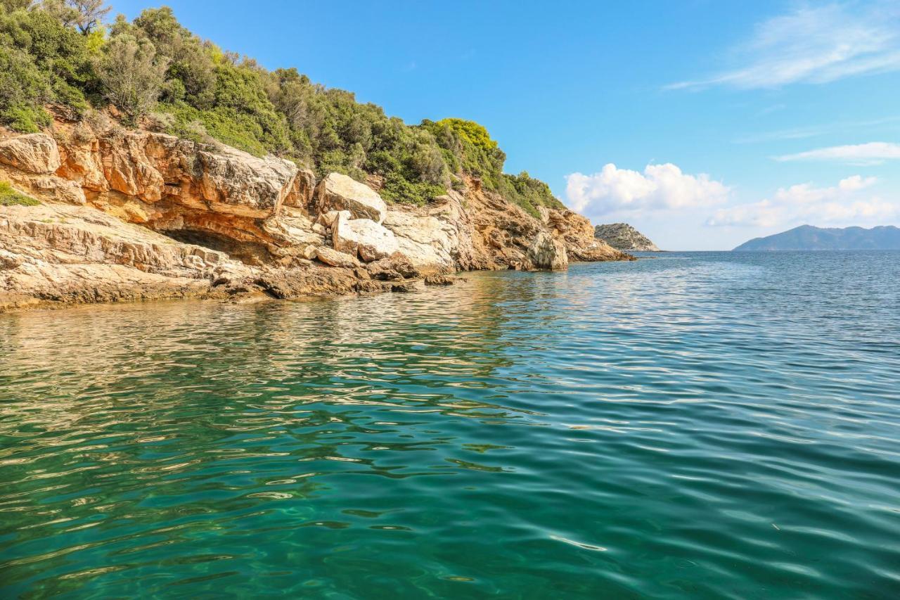 Thalasses Villas Skiathos Punta Екстериор снимка