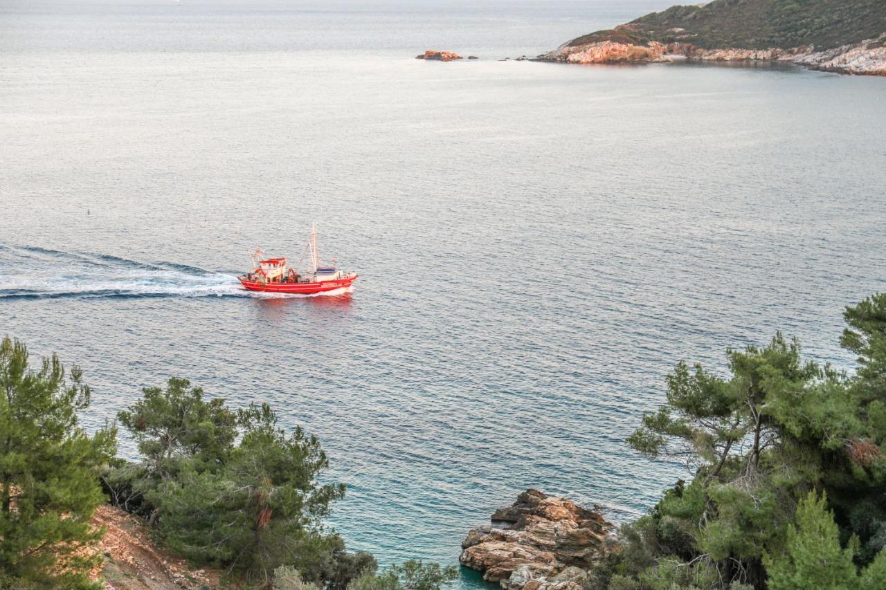 Thalasses Villas Skiathos Punta Екстериор снимка